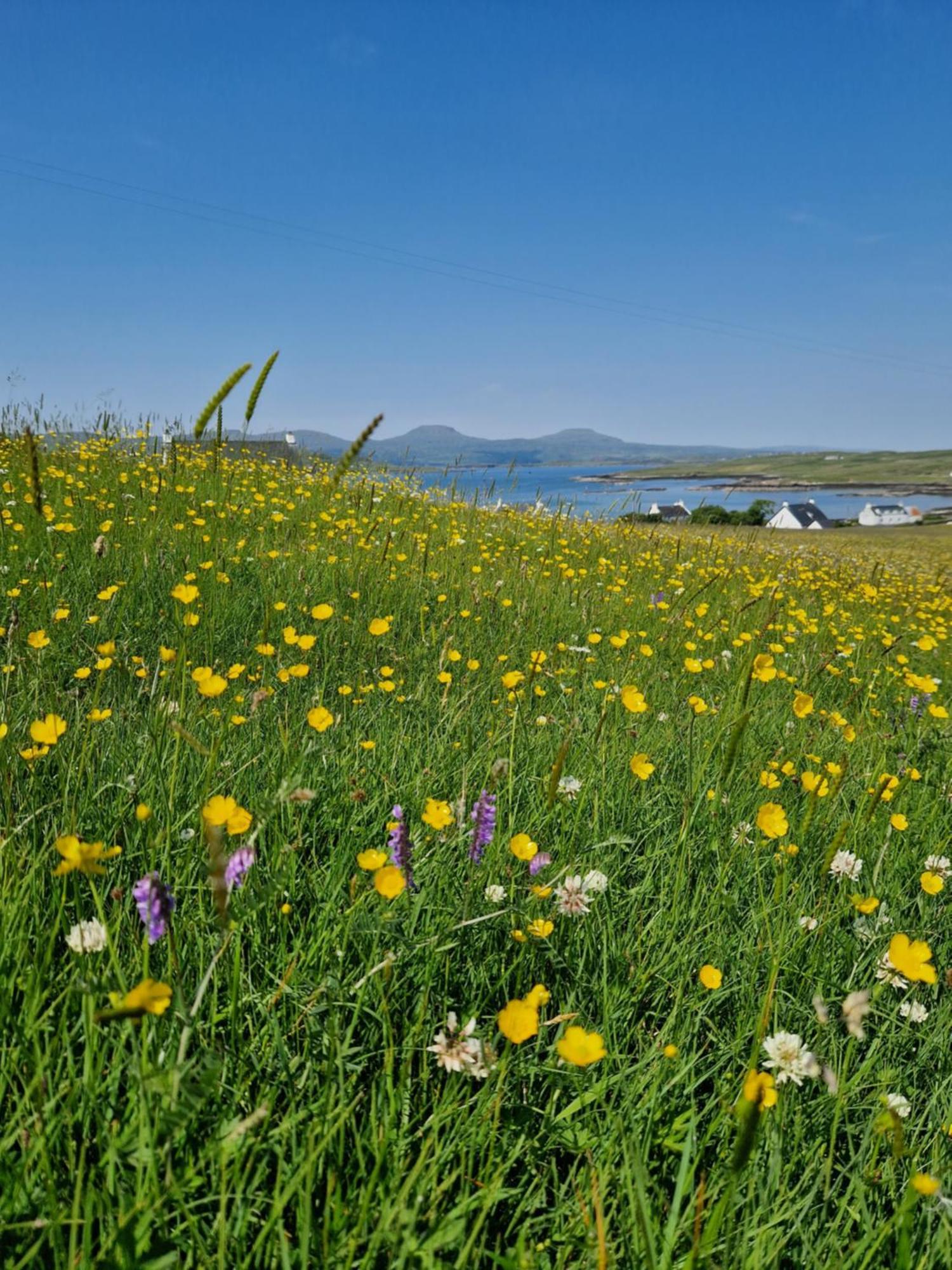 Ornum Self Catering Cottage Eabost Bagian luar foto